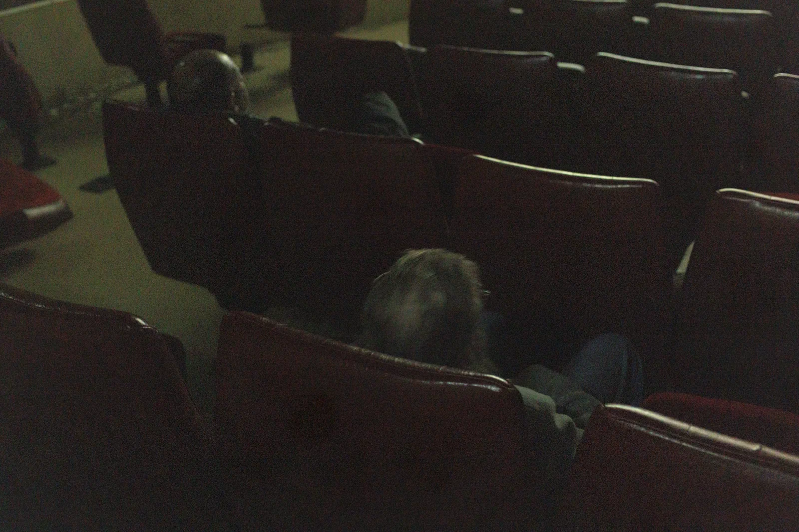 Des spectateurs assis au centre de la salle principale du cinéma