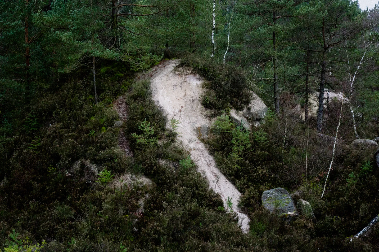 Détail de l'ancienne carrière de kaolins située dans la forêt des Colettes. Classée Natura 2000 grâce à la faune et à la flore qui y foisonnent, le sol blanc est peut-être la dernière trace qui rappelle l'origine industrielle de ce site.