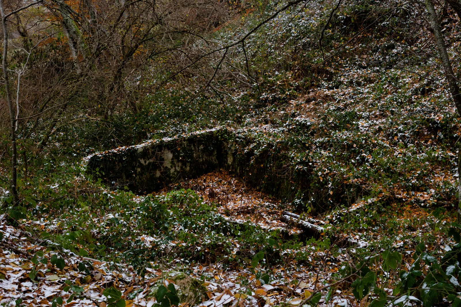 Un bassin près de la galerie Sainte-Barbe, piégé dans la forêt. Ce fut l'un des premiers sites d'exploitation du wolfram dans la région, il y a 110 ans. Un habitant se souvient de l'eau qui coulait parfois à flot dans le bassin, quand il était petit. Aujourd'hui un maigre filet court le long du sentier. Pour les locaux, l'eau est le principal enjeu que soulève la future mine de lithium.