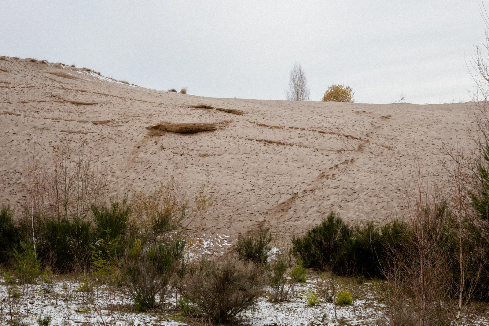 Un tas de résidus miniers près du site du Mazet. Ces résidus, chargés en arsenic d’après un rapport de Geoderis, contaminent le sol et les alentours.