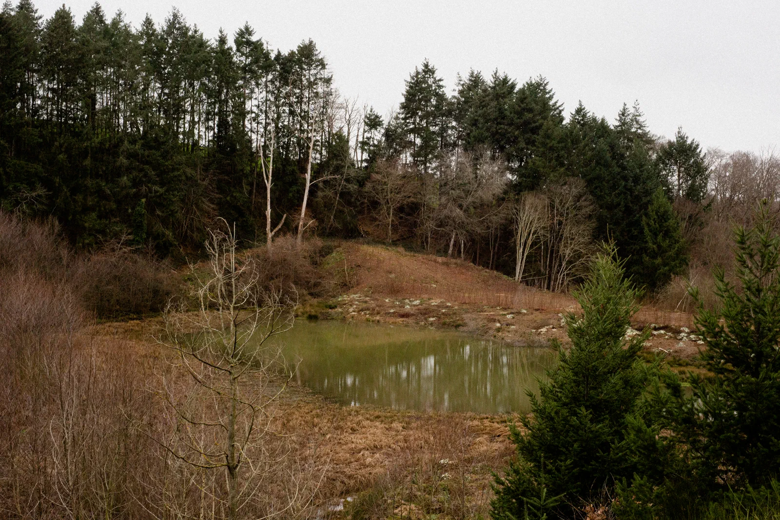 La retenue du Côtillon, en contrebas du Mazet. De grands étangs avaient été faits autour du site de l'ancienne laverie, afin de stocker les résidus d'extractions chargés en arsenic. Il y a plusieurs années, la digue de cette retenue avait cédé, déversant son contenu jusqu'à la Bouble en aval. Depuis, la plupart des étangs ont été vidangés afin qu'un tel incident ne se reproduise plus.