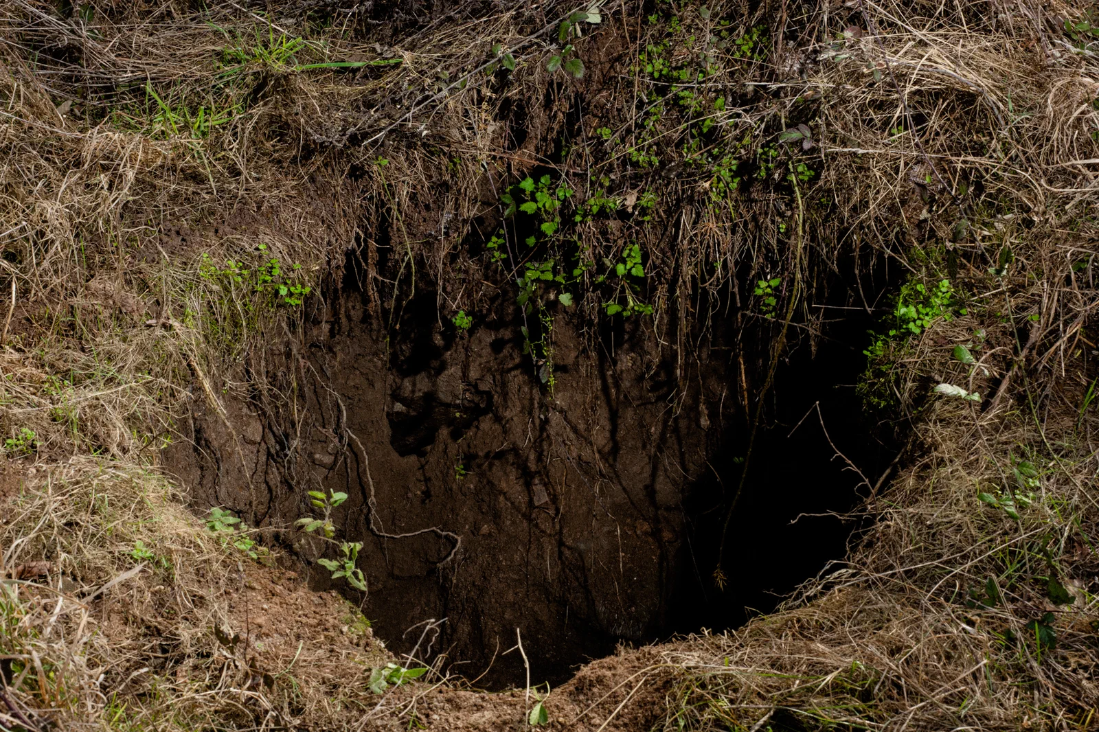 Le trou dans lequel une vache est tombée, une nuit de juin 2021. C'est en fait une ancienne cheminée reliant une des galeries qui a servi à l'exploitation du wolfram, le siècle dernier. Elle pourrait faire plusieurs dizaines de mètres de profondeur et passe sous le champ d'un agriculteur.